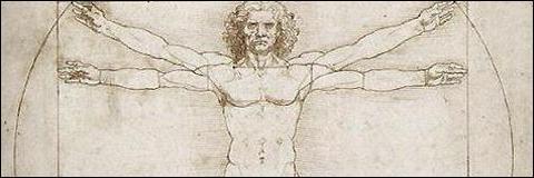 Image of DaVinci's Vitruvian Man